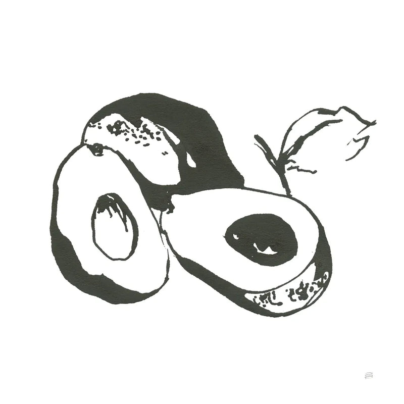 Avocado II BW by Chris Paschke. SKU 64210a. Archival Giclee Fine art print for wall decor.