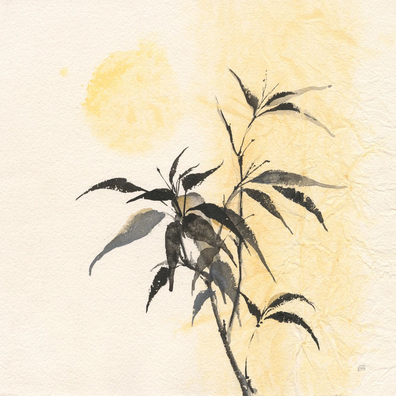 Bamboo Sun I by Chris Paschke