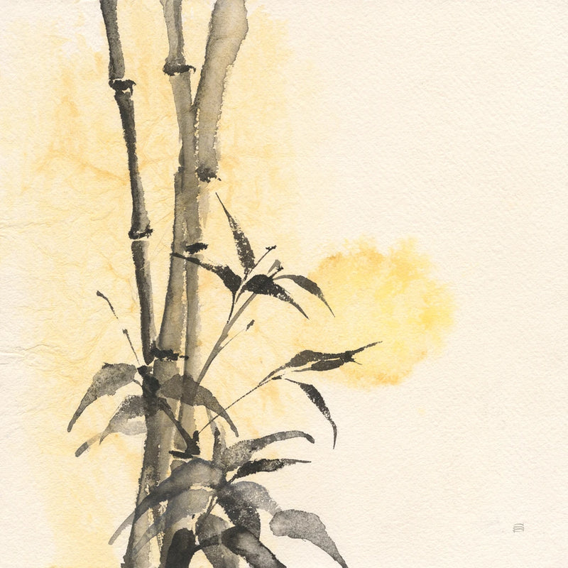 Bamboo Sun II by Chris Paschke