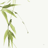 Bamboo V Green by Chris Paschke. SKU 58947a. Archival Giclee Fine art print for wall decor.