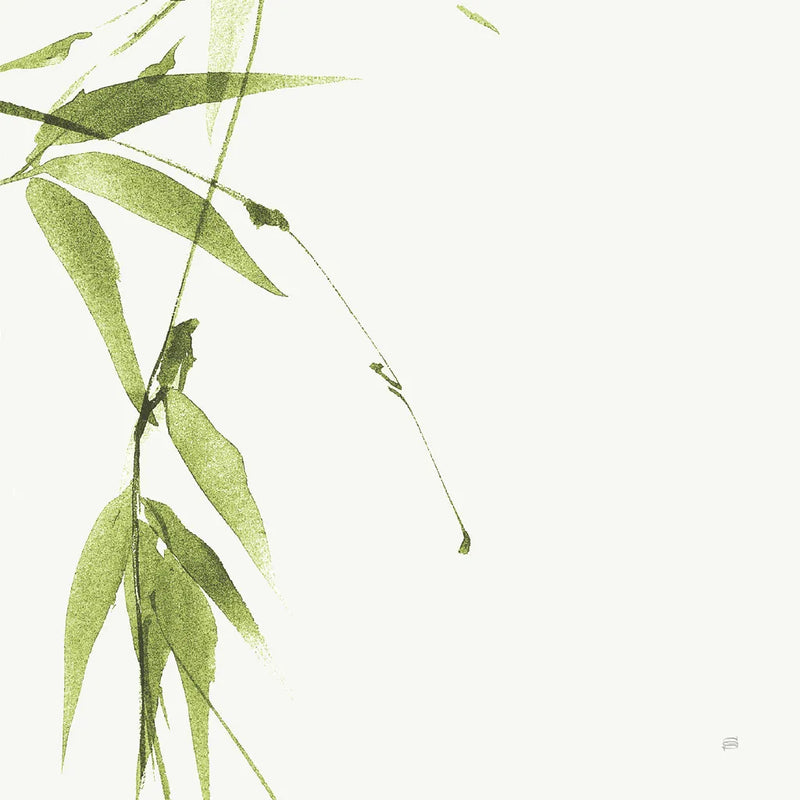 Bamboo V Green by Chris Paschke. SKU 58947a. Archival Giclee Fine art print for wall decor.