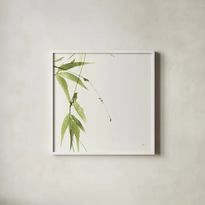 Bamboo V Green by Chris Paschke. Shown in a crisp white glass frame for a clean and minimalist style. Available as an archival giclee rolled canvas, fine art paper, or poster print. SKU 58947a.