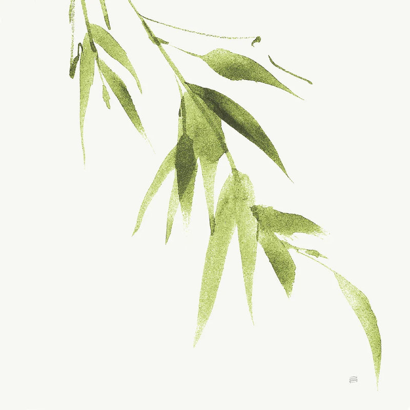 Bamboo VI Green by Chris Paschke. SKU 58948a. Archival Giclee Fine art print for wall decor.