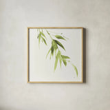 Bamboo VI Green by Chris Paschke. Shown in a natural wood glass frame for a timeless modern aesthetic. Available as an archival giclee rolled canvas, fine art paper, or poster print. SKU 58948a.
