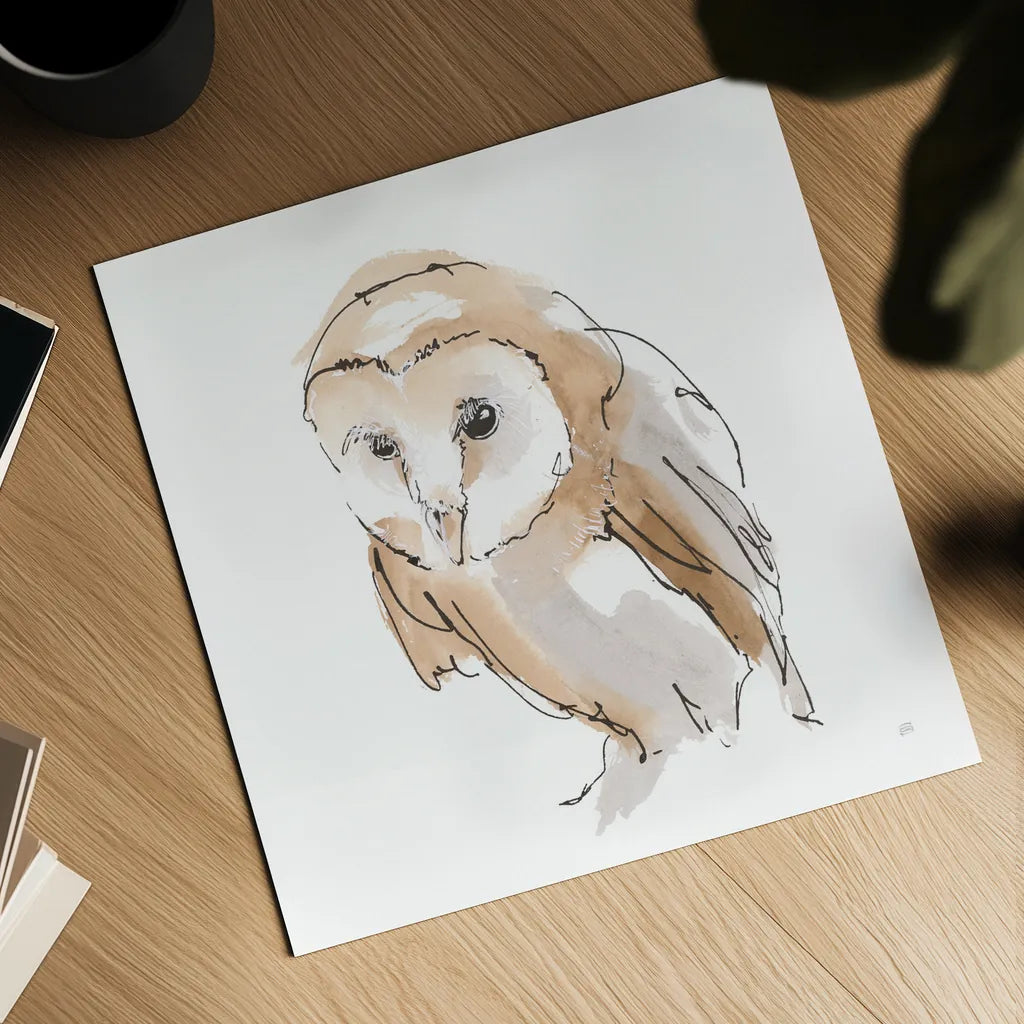 Barn Owl I by Chris Paschke. Shown as a detailed flat fine art print, highlighting archival giclee quality. Available as an archival giclee rolled canvas, fine art paper, or poster print. SKU 66195a.