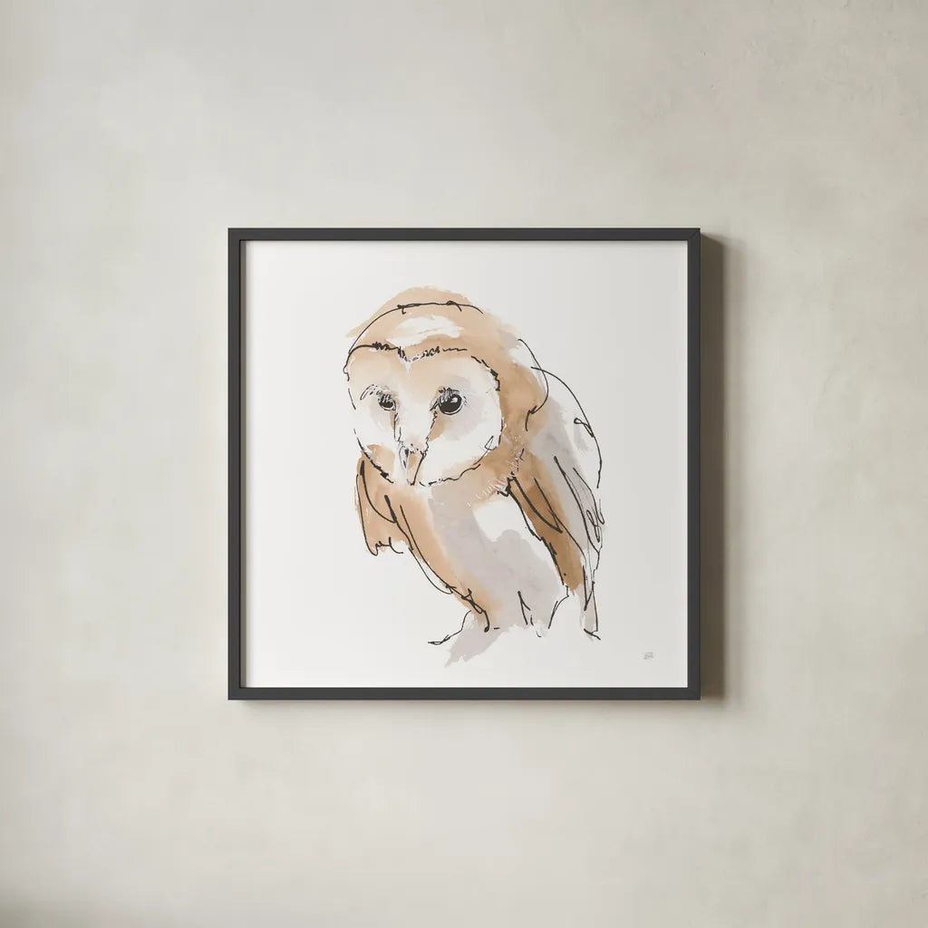 Barn Owl I by Chris Paschke. Shown in a sleek black glass frame for a contemporary gallery look. Available as an archival giclee rolled canvas, fine art paper, or poster print. SKU 66195a.