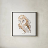 Barn Owl I by Chris Paschke. Shown in a sleek black glass frame for a contemporary gallery look. Available as an archival giclee rolled canvas, fine art paper, or poster print. SKU 66195a.