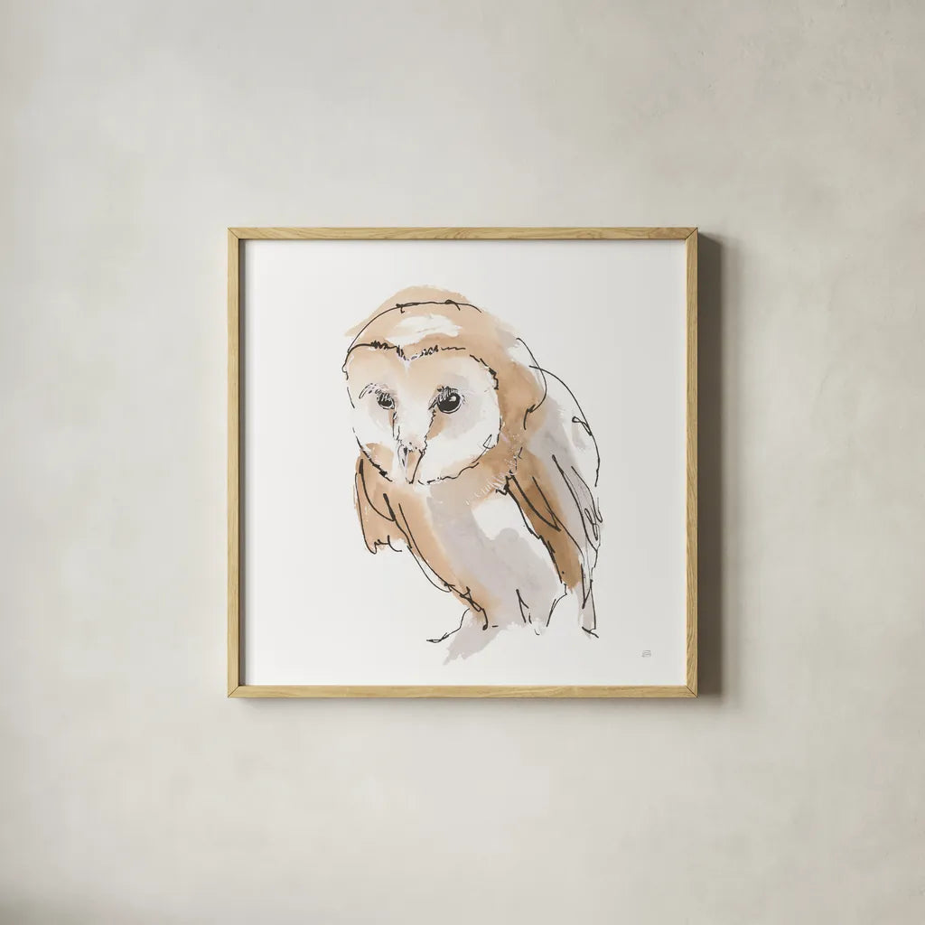 Barn Owl I by Chris Paschke. Shown in a natural wood glass frame for a timeless modern aesthetic. Available as an archival giclee rolled canvas, fine art paper, or poster print. SKU 66195a.