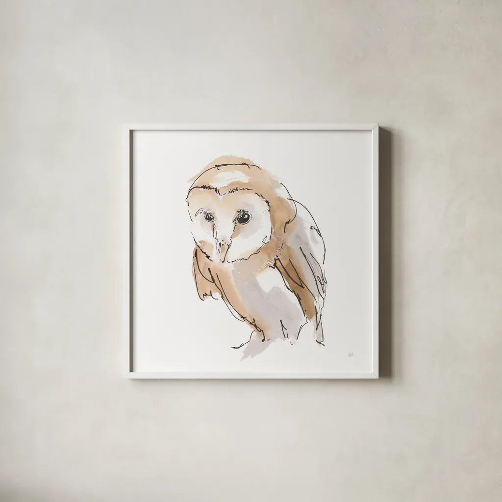 Barn Owl I by Chris Paschke. Shown in a crisp white glass frame for a clean and minimalist style. Available as an archival giclee rolled canvas, fine art paper, or poster print. SKU 66195a.