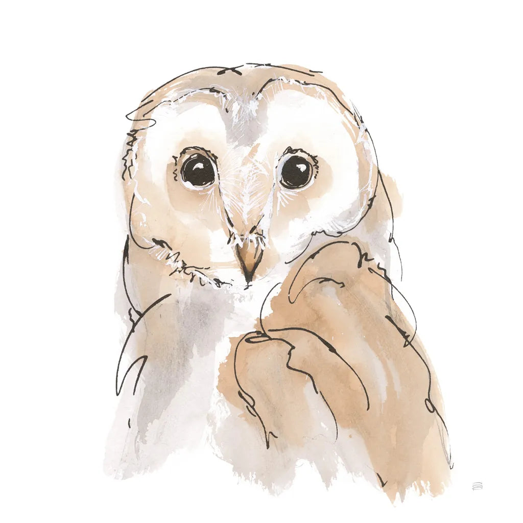 Barn Owl II by Chris Paschke. SKU 66196a. Archival Giclee Fine art print for wall decor.