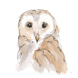 Barn Owl II by Chris Paschke. SKU 66196a. Archival Giclee Fine art print for wall decor.