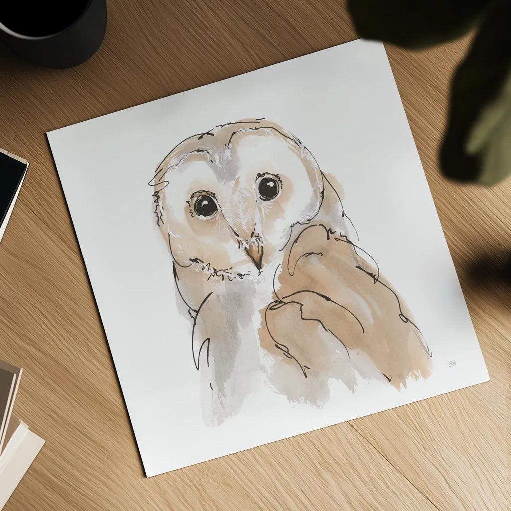 Barn Owl II by Chris Paschke. Shown as a detailed flat fine art print, highlighting archival giclee quality. Available as an archival giclee rolled canvas, fine art paper, or poster print. SKU 66196a.