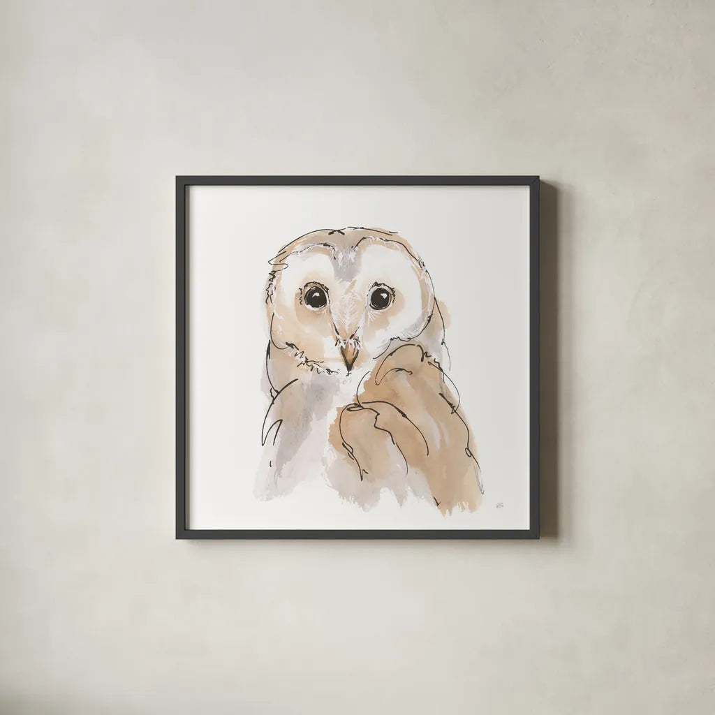 Barn Owl II by Chris Paschke. Shown in a sleek black glass frame for a contemporary gallery look. Available as an archival giclee rolled canvas, fine art paper, or poster print. SKU 66196a.