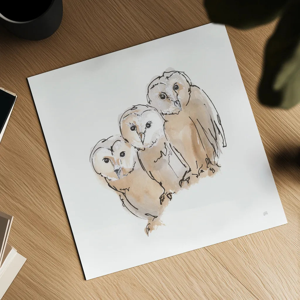 Barn Owl III by Chris Paschke. Shown as a detailed flat fine art print, highlighting archival giclee quality. Available as an archival giclee rolled canvas, fine art paper, or poster print. SKU 66197a.