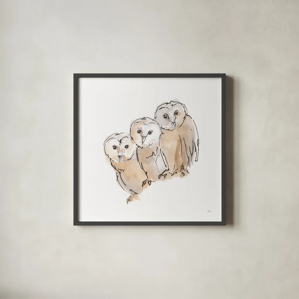 Barn Owl III by Chris Paschke. Shown in a sleek black glass frame for a contemporary gallery look. Available as an archival giclee rolled canvas, fine art paper, or poster print. SKU 66197a.