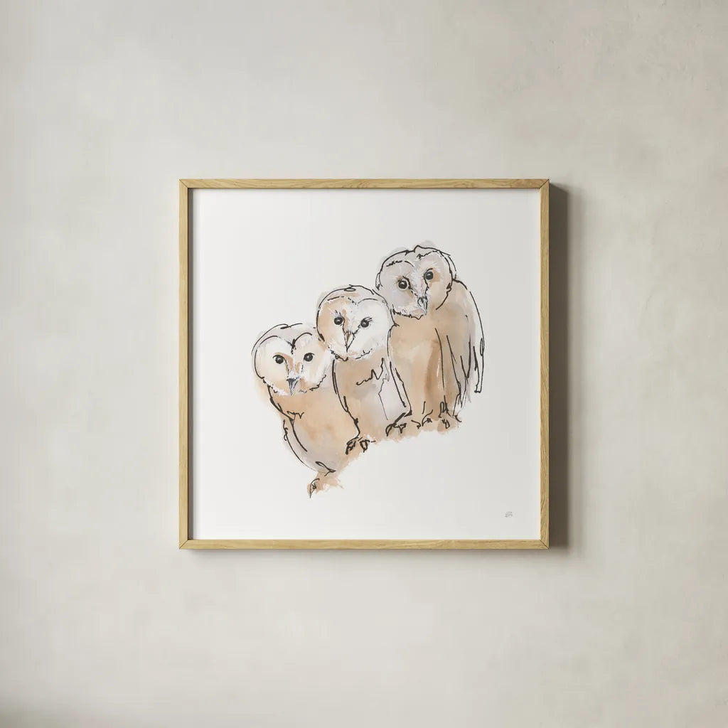 Barn Owl III by Chris Paschke. Shown in a natural wood glass frame for a timeless modern aesthetic. Available as an archival giclee rolled canvas, fine art paper, or poster print. SKU 66197a.