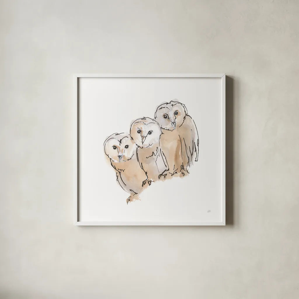 Barn Owl III by Chris Paschke. Shown in a crisp white glass frame for a clean and minimalist style. Available as an archival giclee rolled canvas, fine art paper, or poster print. SKU 66197a.