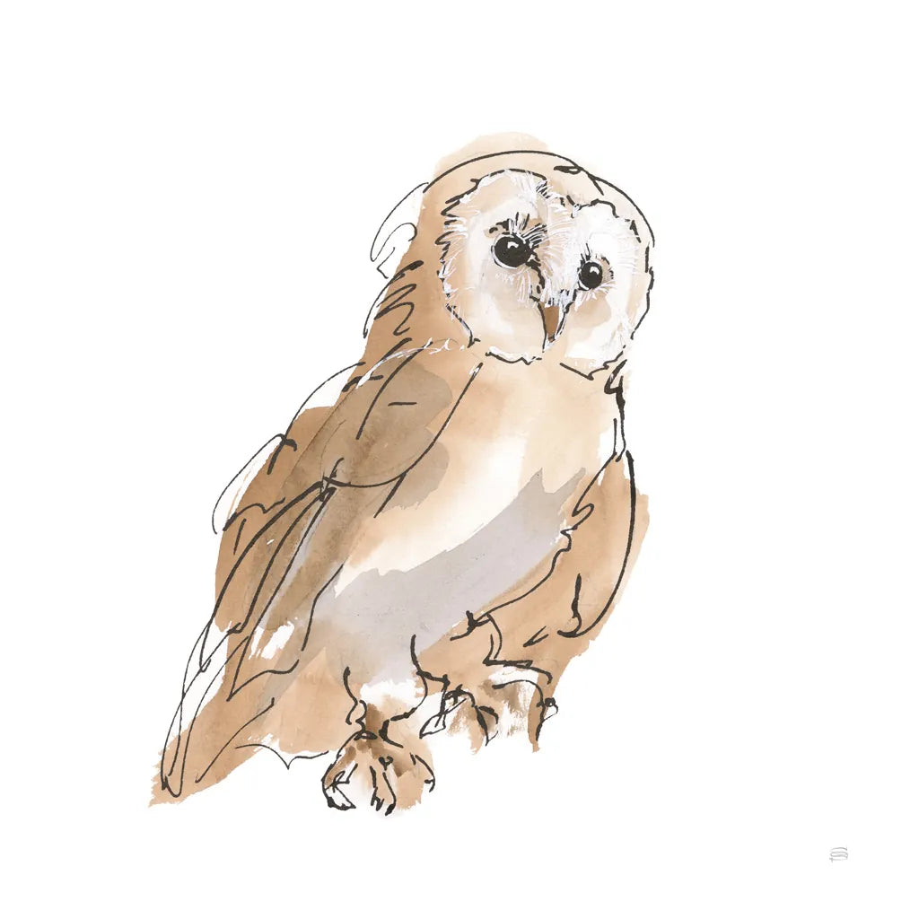 Barn Owl IV by Chris Paschke. SKU 66198a. Archival Giclee Fine art print for wall decor.