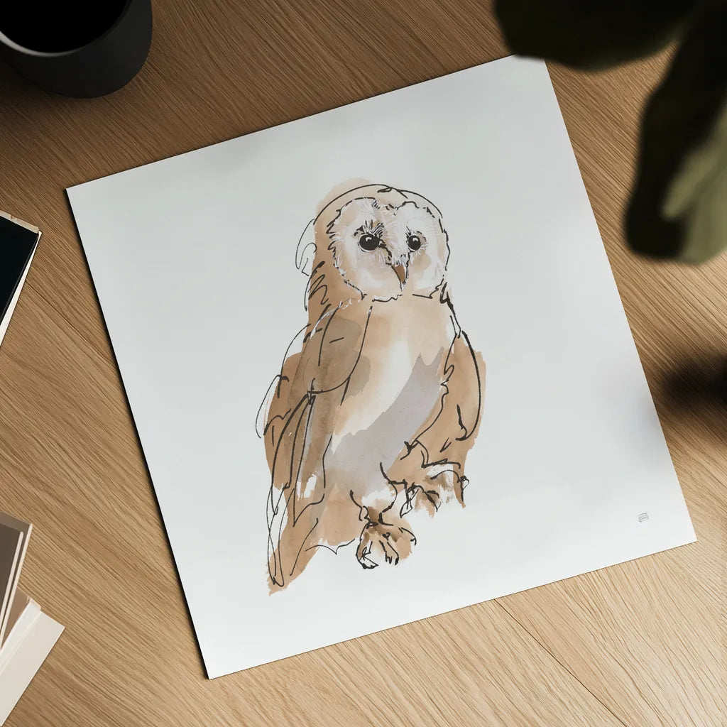 Barn Owl IV by Chris Paschke. Shown as a detailed flat fine art print, highlighting archival giclee quality. Available as an archival giclee rolled canvas, fine art paper, or poster print. SKU 66198a.