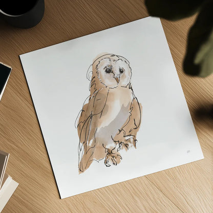 Barn Owl IV by Chris Paschke. Shown as a detailed flat fine art print, highlighting archival giclee quality. Available as an archival giclee rolled canvas, fine art paper, or poster print. SKU 66198a.