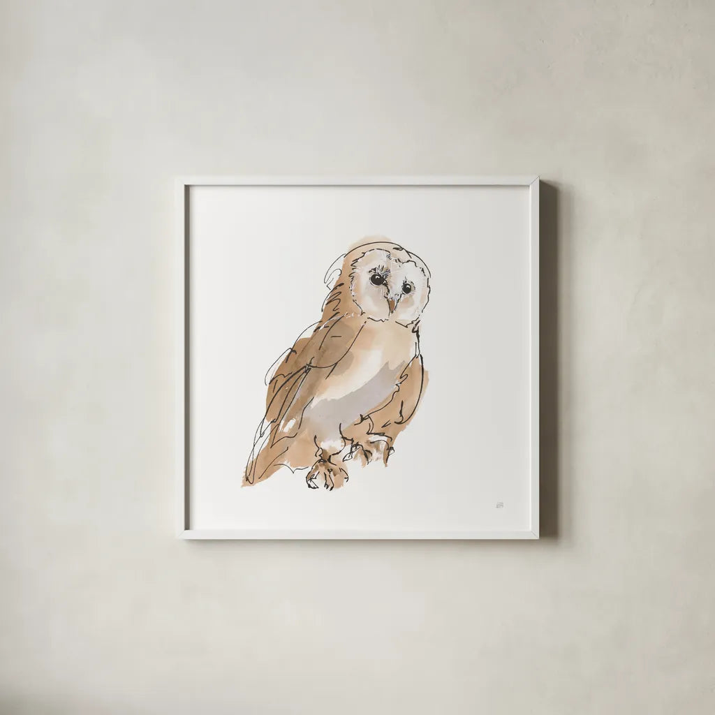 Barn Owl IV by Chris Paschke. Shown in a crisp white glass frame for a clean and minimalist style. Available as an archival giclee rolled canvas, fine art paper, or poster print. SKU 66198a.