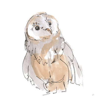 Barn Owl V by Chris Paschke. SKU 66199a. Archival Giclee Fine art print for wall decor.