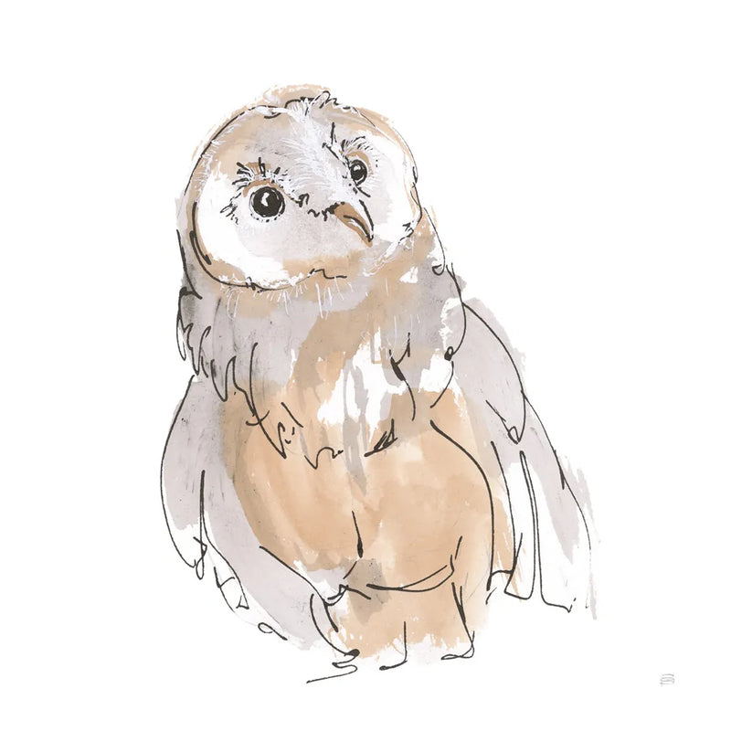 Barn Owl V by Chris Paschke. SKU 66199a. Archival Giclee Fine art print for wall decor.