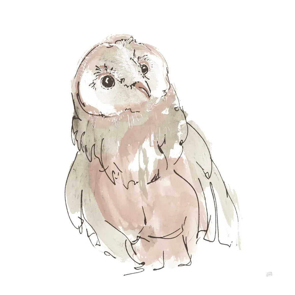 Barn Owl V Honeybloom by Chris Paschke. SKU 90649a. Archival Giclee Fine art print for wall decor.