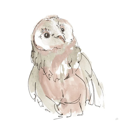 Barn Owl V Honeybloom by Chris Paschke. SKU 90649a. Archival Giclee Fine art print for wall decor.