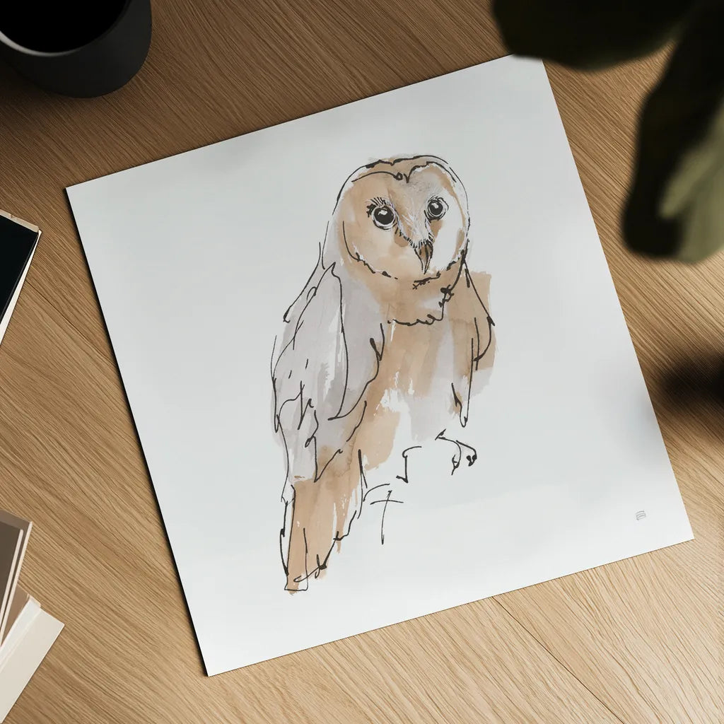 Barn Owl VI by Chris Paschke. Shown as a detailed flat fine art print, highlighting archival giclee quality. Available as an archival giclee rolled canvas, fine art paper, or poster print. SKU 66200a.