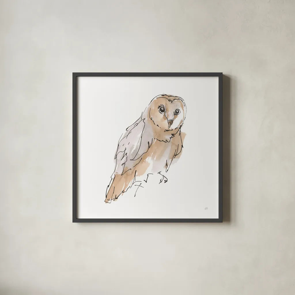Barn Owl VI by Chris Paschke. Shown in a sleek black glass frame for a contemporary gallery look. Available as an archival giclee rolled canvas, fine art paper, or poster print. SKU 66200a.