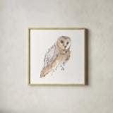 Barn Owl VI by Chris Paschke. Shown in a natural wood glass frame for a timeless modern aesthetic. Available as an archival giclee rolled canvas, fine art paper, or poster print. SKU 66200a.