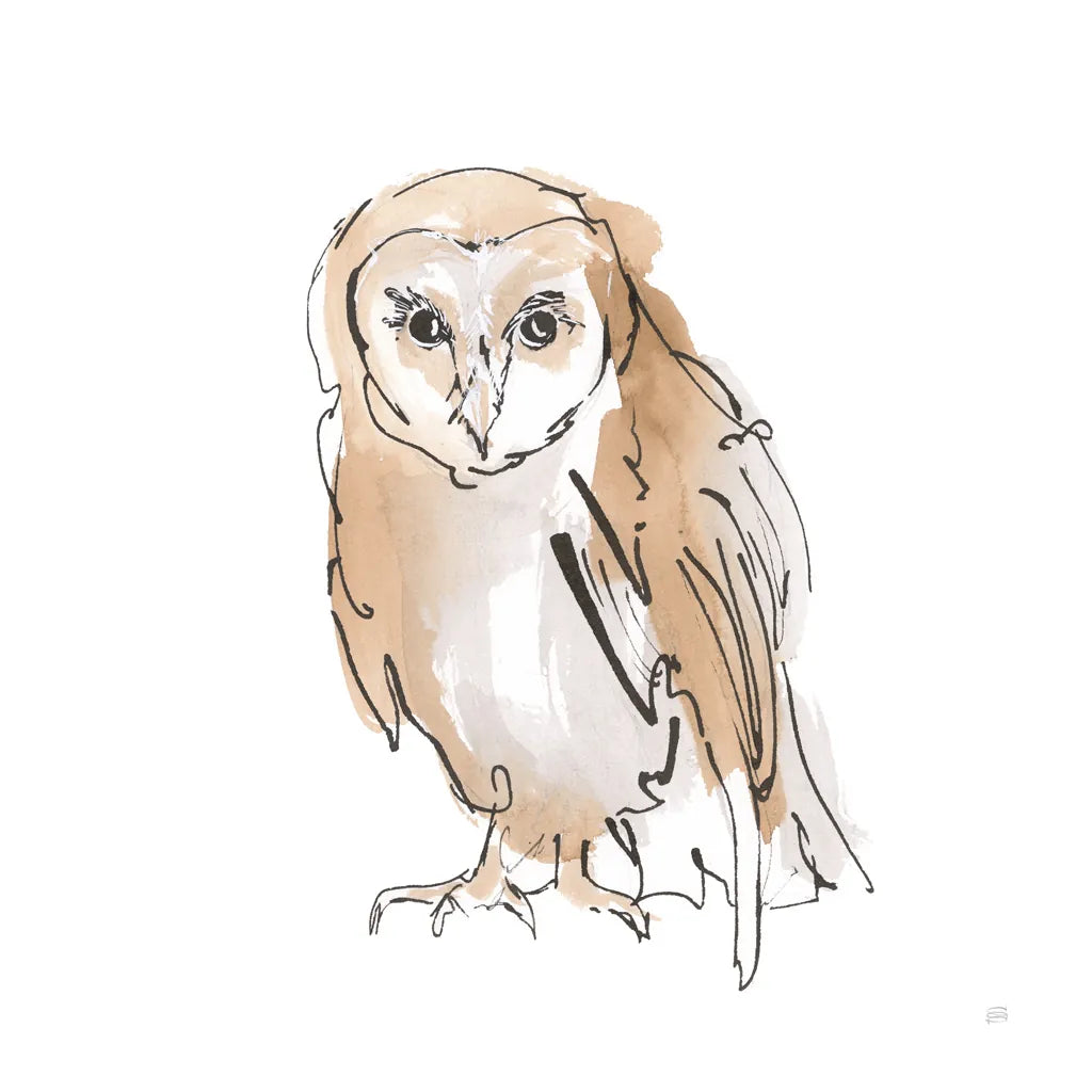 Barn Owl VII by Chris Paschke. SKU 66201a. Archival Giclee Fine art print for wall decor.