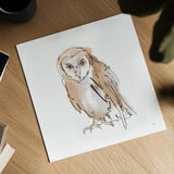 Barn Owl VII by Chris Paschke. Shown as a detailed flat fine art print, highlighting archival giclee quality. Available as an archival giclee rolled canvas, fine art paper, or poster print. SKU 66201a.