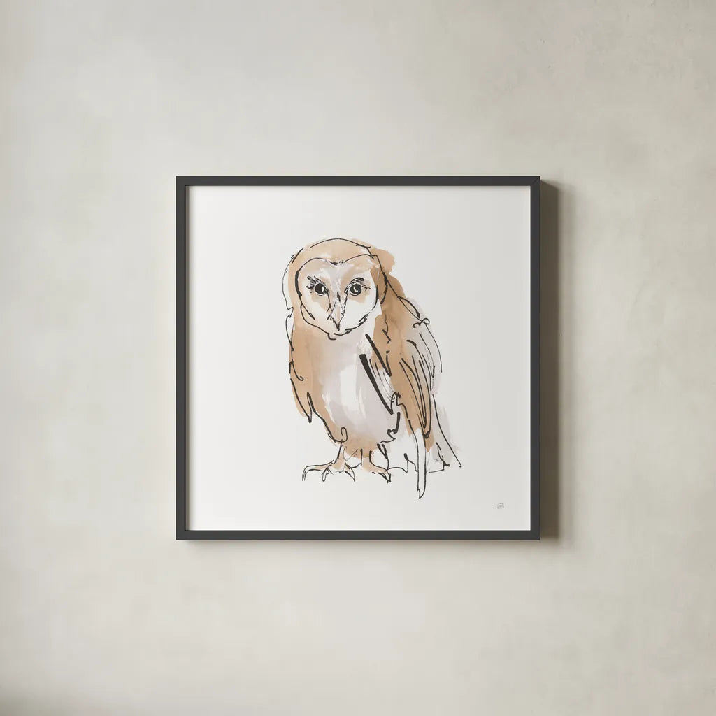 Barn Owl VII by Chris Paschke. Shown in a sleek black glass frame for a contemporary gallery look. Available as an archival giclee rolled canvas, fine art paper, or poster print. SKU 66201a.