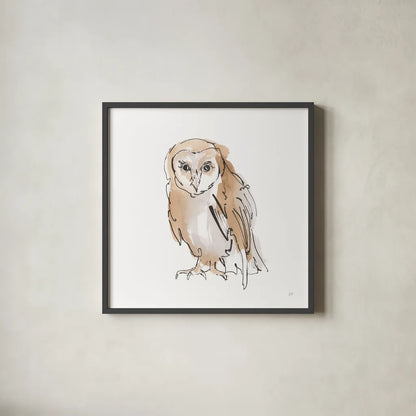 Barn Owl VII by Chris Paschke. Shown in a sleek black glass frame for a contemporary gallery look. Available as an archival giclee rolled canvas, fine art paper, or poster print. SKU 66201a.
