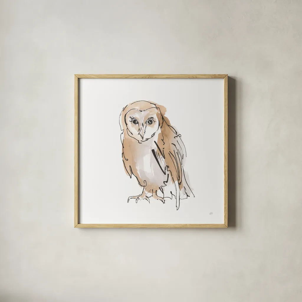 Barn Owl VII by Chris Paschke. Shown in a natural wood glass frame for a timeless modern aesthetic. Available as an archival giclee rolled canvas, fine art paper, or poster print. SKU 66201a.
