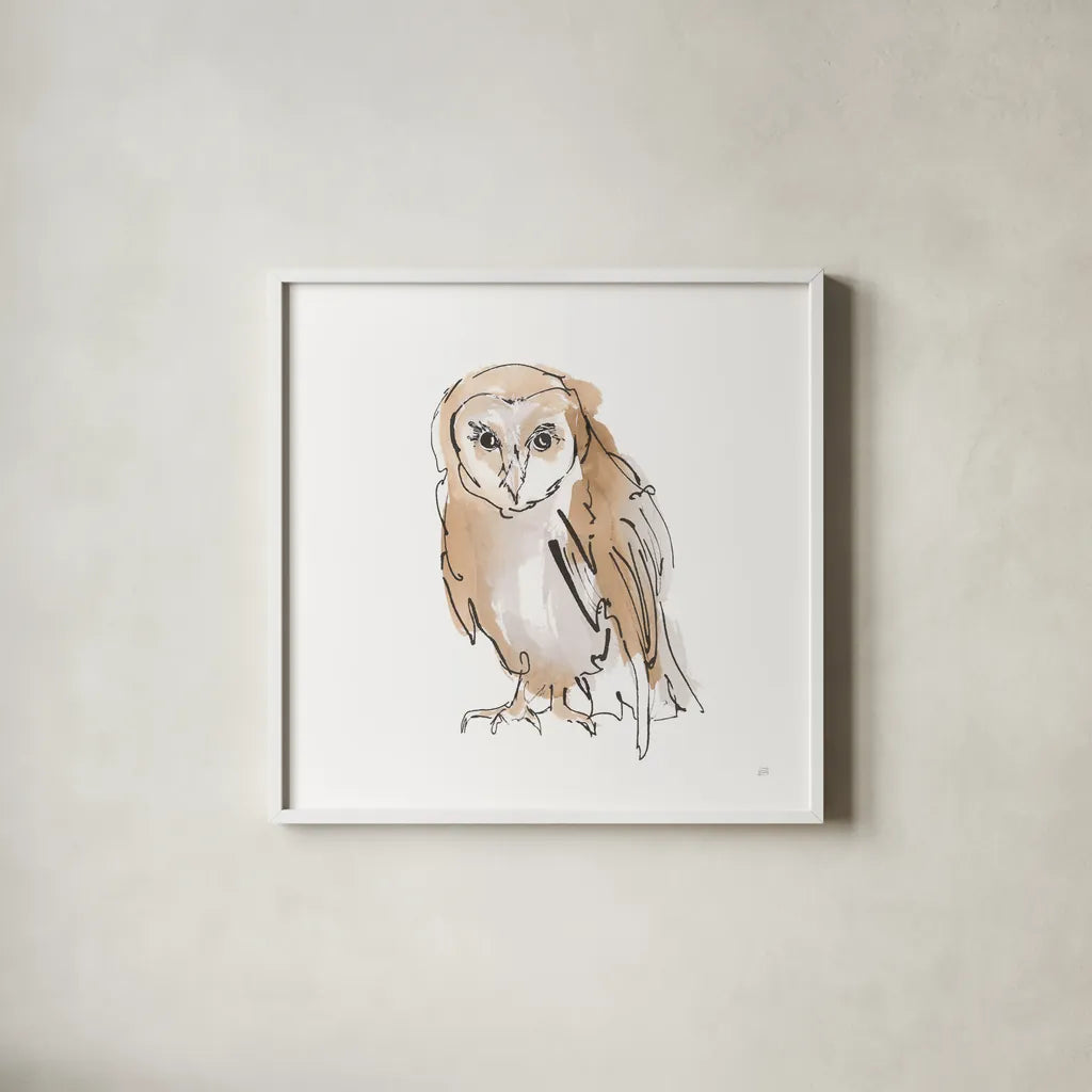 Barn Owl VII by Chris Paschke. Shown in a crisp white glass frame for a clean and minimalist style. Available as an archival giclee rolled canvas, fine art paper, or poster print. SKU 66201a.