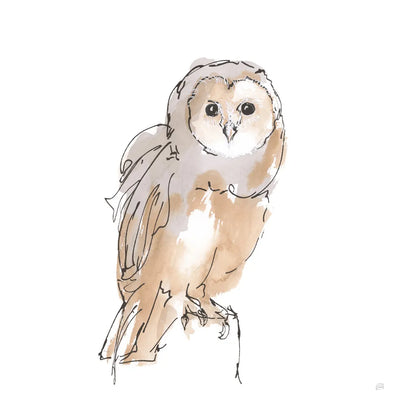 Barn Owl VIII by Chris Paschke. SKU 66202a. Archival Giclee Fine art print for wall decor.
