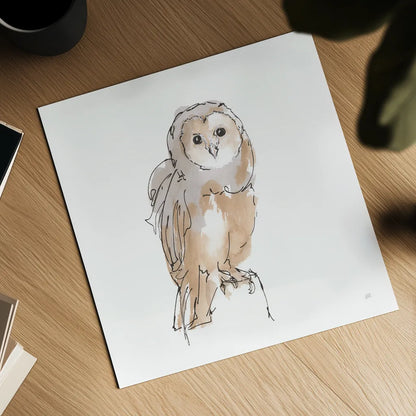 Barn Owl VIII by Chris Paschke. Shown as a detailed flat fine art print, highlighting archival giclee quality. Available as an archival giclee rolled canvas, fine art paper, or poster print. SKU 66202a.