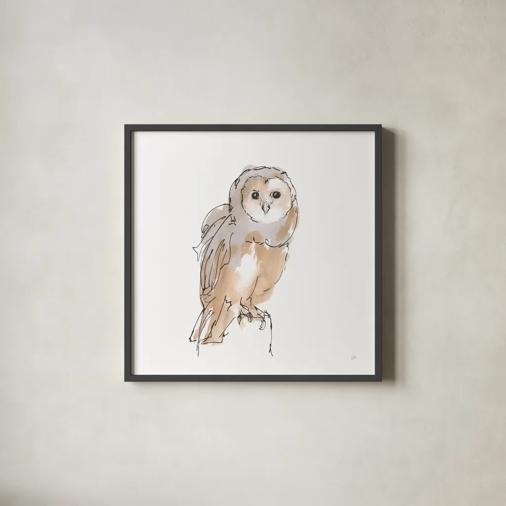 Barn Owl VIII by Chris Paschke. Shown in a sleek black glass frame for a contemporary gallery look. Available as an archival giclee rolled canvas, fine art paper, or poster print. SKU 66202a.