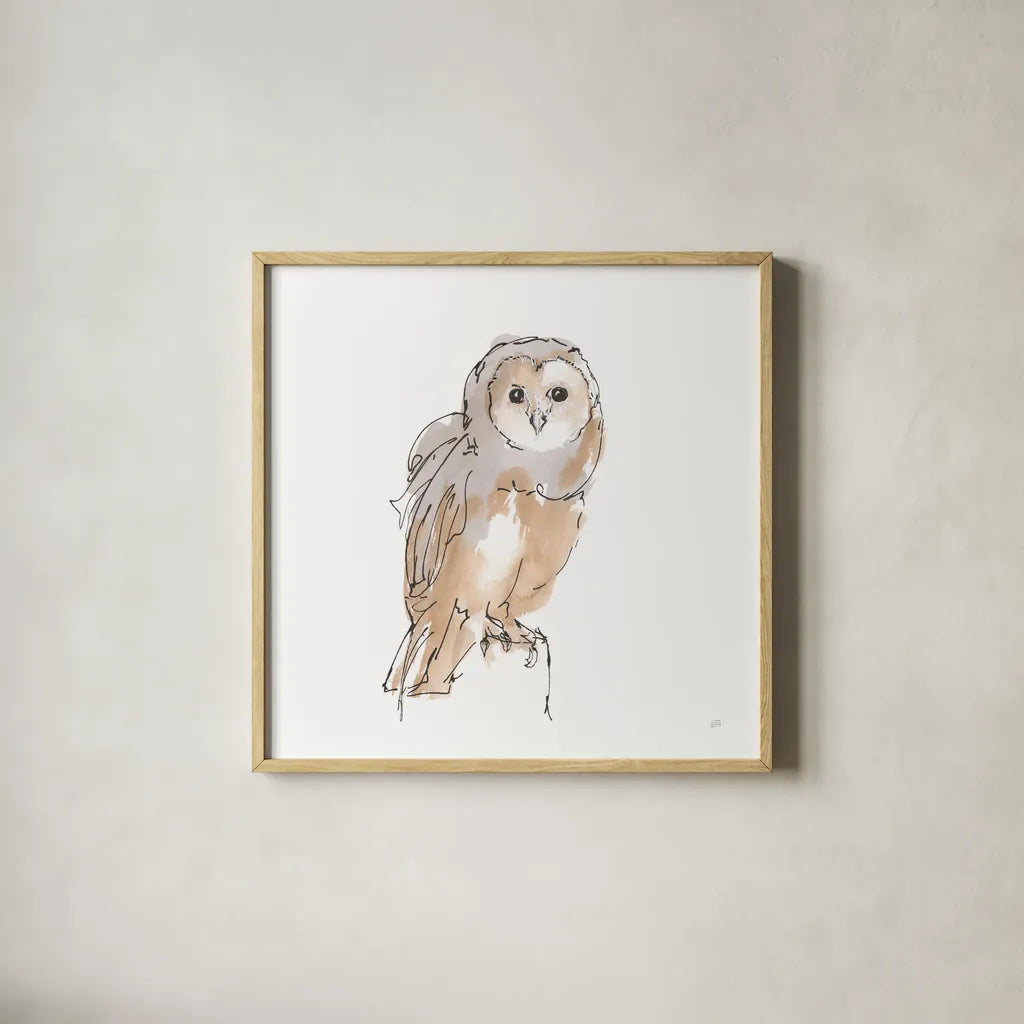 Barn Owl VIII by Chris Paschke. Shown in a natural wood glass frame for a timeless modern aesthetic. Available as an archival giclee rolled canvas, fine art paper, or poster print. SKU 66202a.