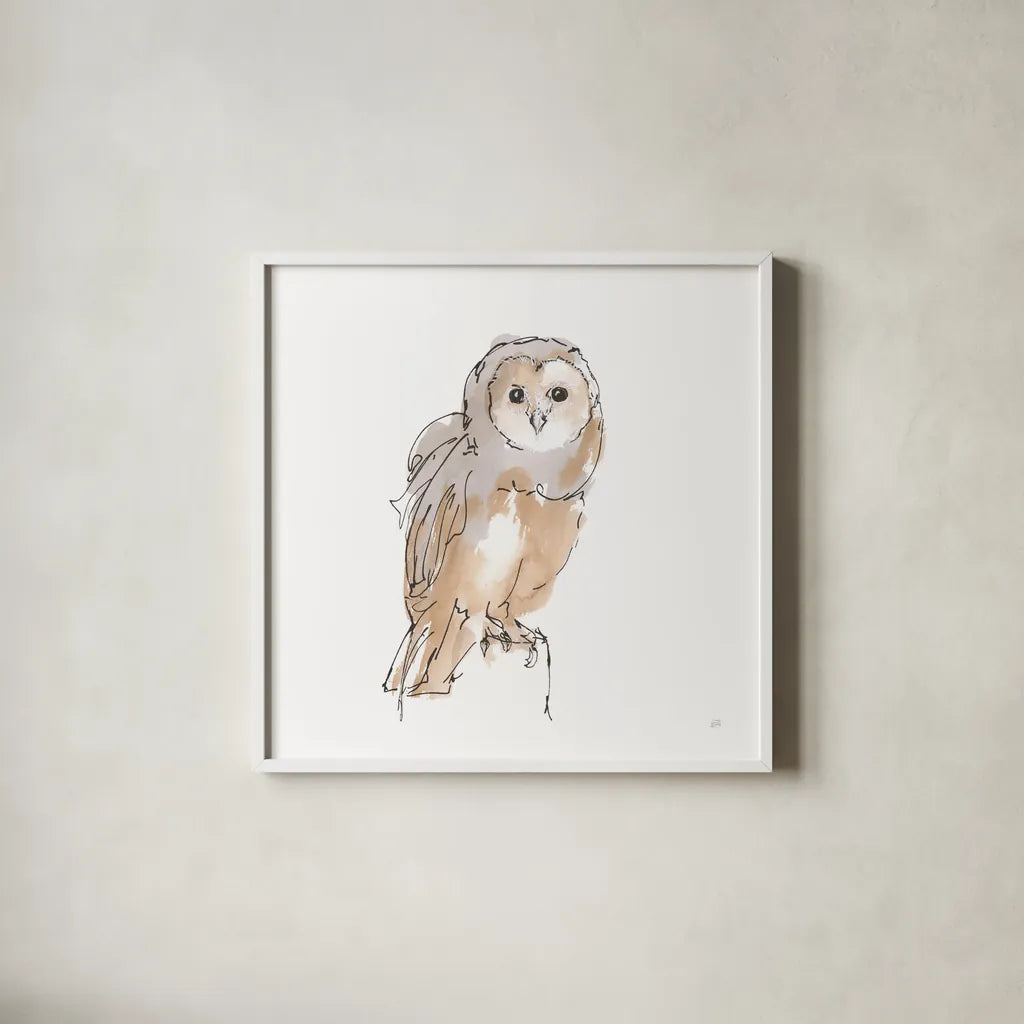 Barn Owl VIII by Chris Paschke. Shown in a crisp white glass frame for a clean and minimalist style. Available as an archival giclee rolled canvas, fine art paper, or poster print. SKU 66202a.