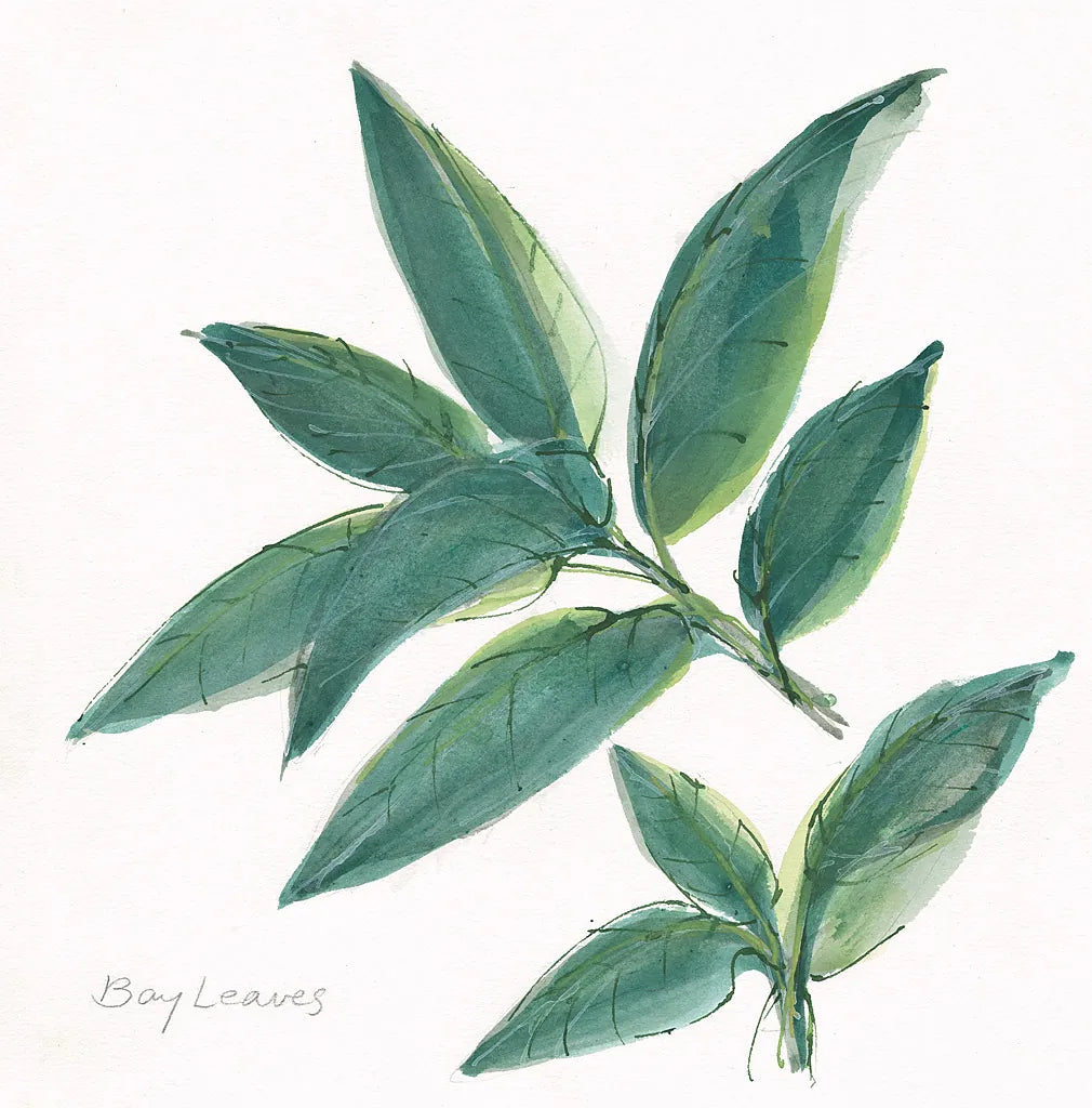 Bay Leaf by Chris Paschke. SKU 27520a. Archival Giclee Fine art print for wall decor.