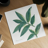 Bay Leaf by Chris Paschke. Shown as a detailed flat fine art print, highlighting archival giclee quality. Available as an archival giclee rolled canvas, fine art paper, or poster print. SKU 27520a.