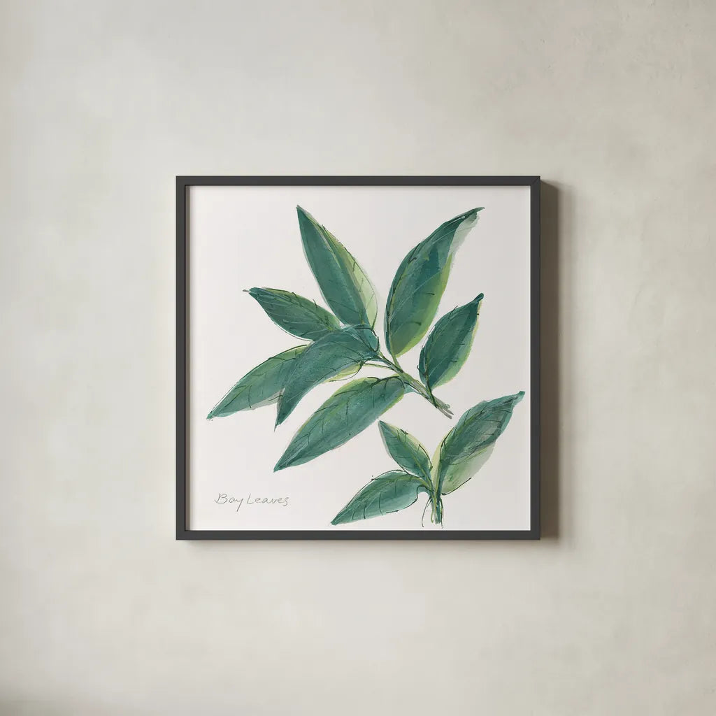 Bay Leaf by Chris Paschke. Shown in a sleek black glass frame for a contemporary gallery look. Available as an archival giclee rolled canvas, fine art paper, or poster print. SKU 27520a.