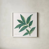 Bay Leaf by Chris Paschke. Shown in a crisp white glass frame for a clean and minimalist style. Available as an archival giclee rolled canvas, fine art paper, or poster print. SKU 27520a.