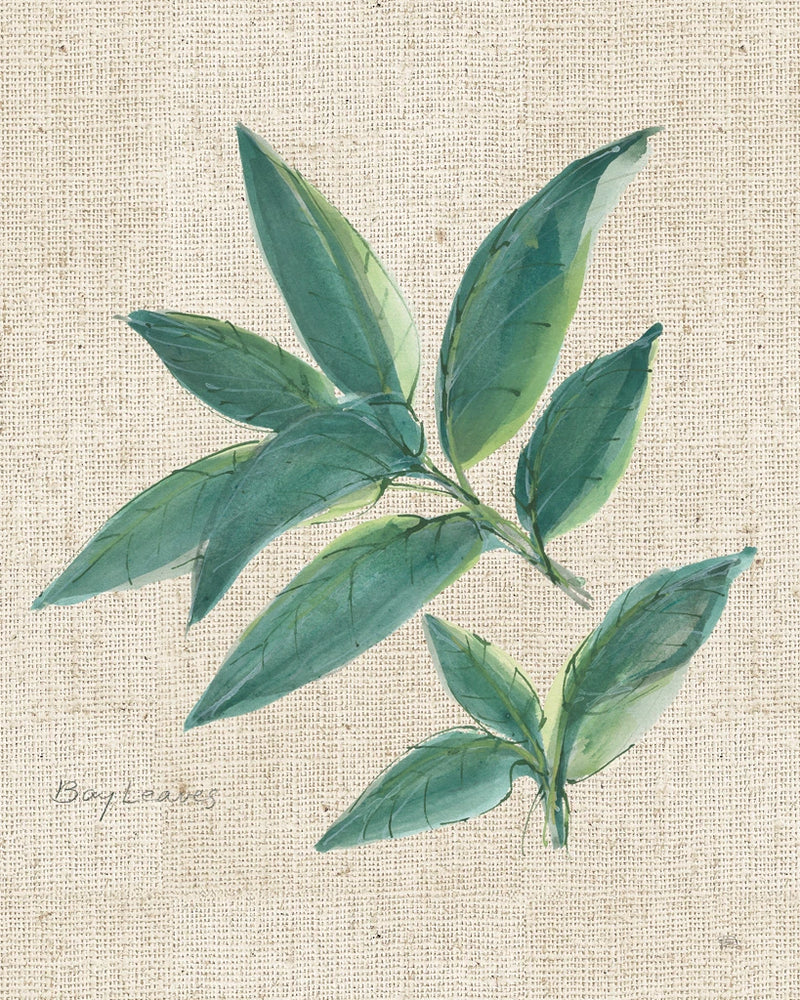 Bay Leaf on Burlap by Chris Paschke