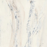 Birch Dreams I by Chris Paschke. SKU 90876a. Archival Giclee Fine art print for wall decor.