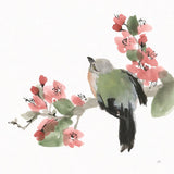 Bird and Blossoms II by Chris Paschke. SKU 99404a. Archival Giclee Fine art print for wall decor.
